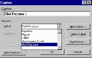 Заголовки (CaptionLabels)